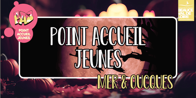 Voir l'article