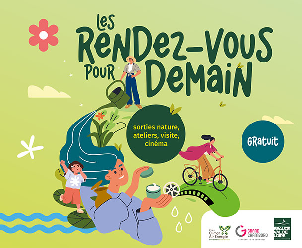 Voir l'article